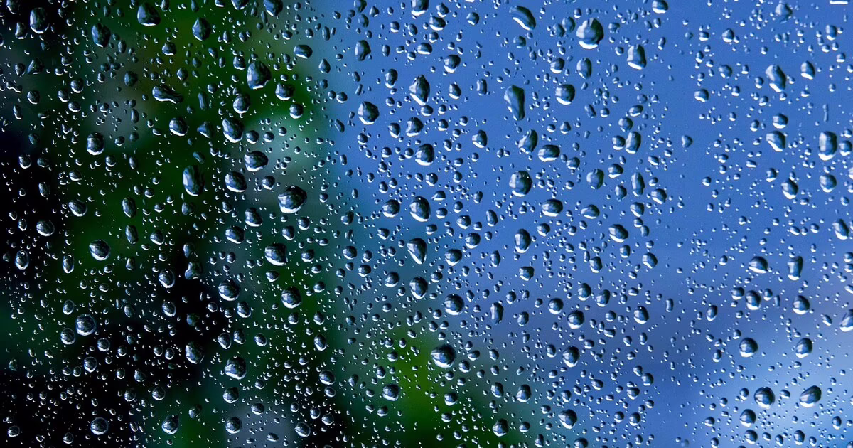 Water-Damaged Phone? What to Do in the First Hour